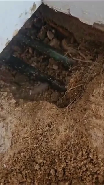 Central heating leak detection video poster in Cambridgeshire