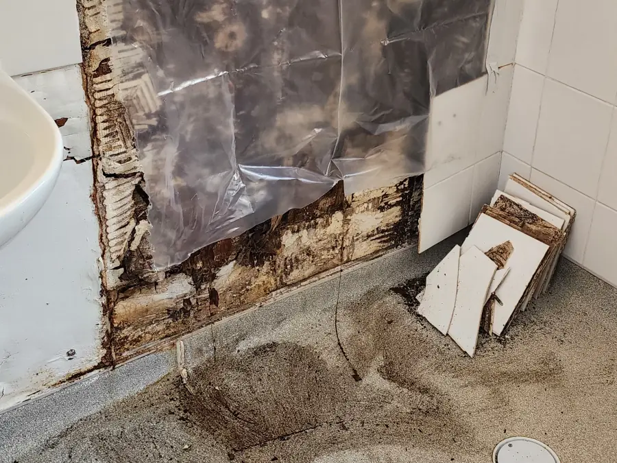 Water-stained timber substrate exposed behind the bathroom tiles