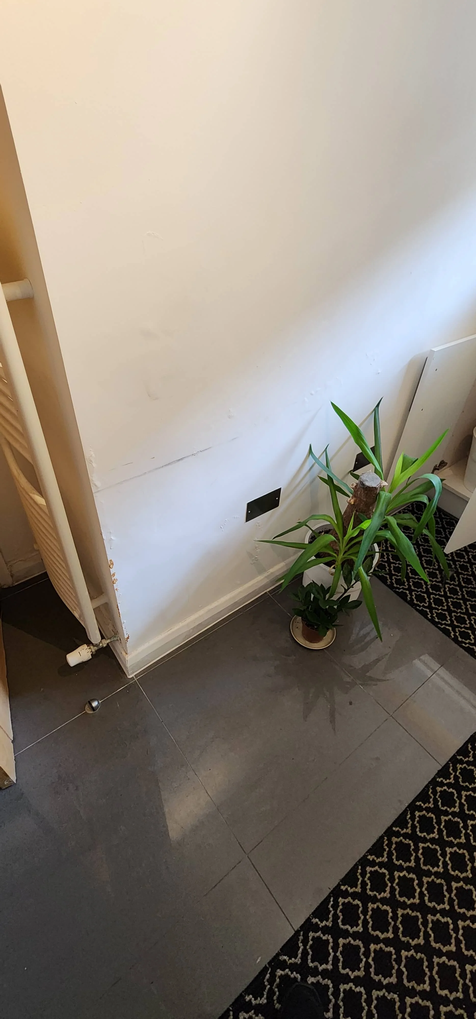 Damp lower wall evidence during Portsmouth leak investigation