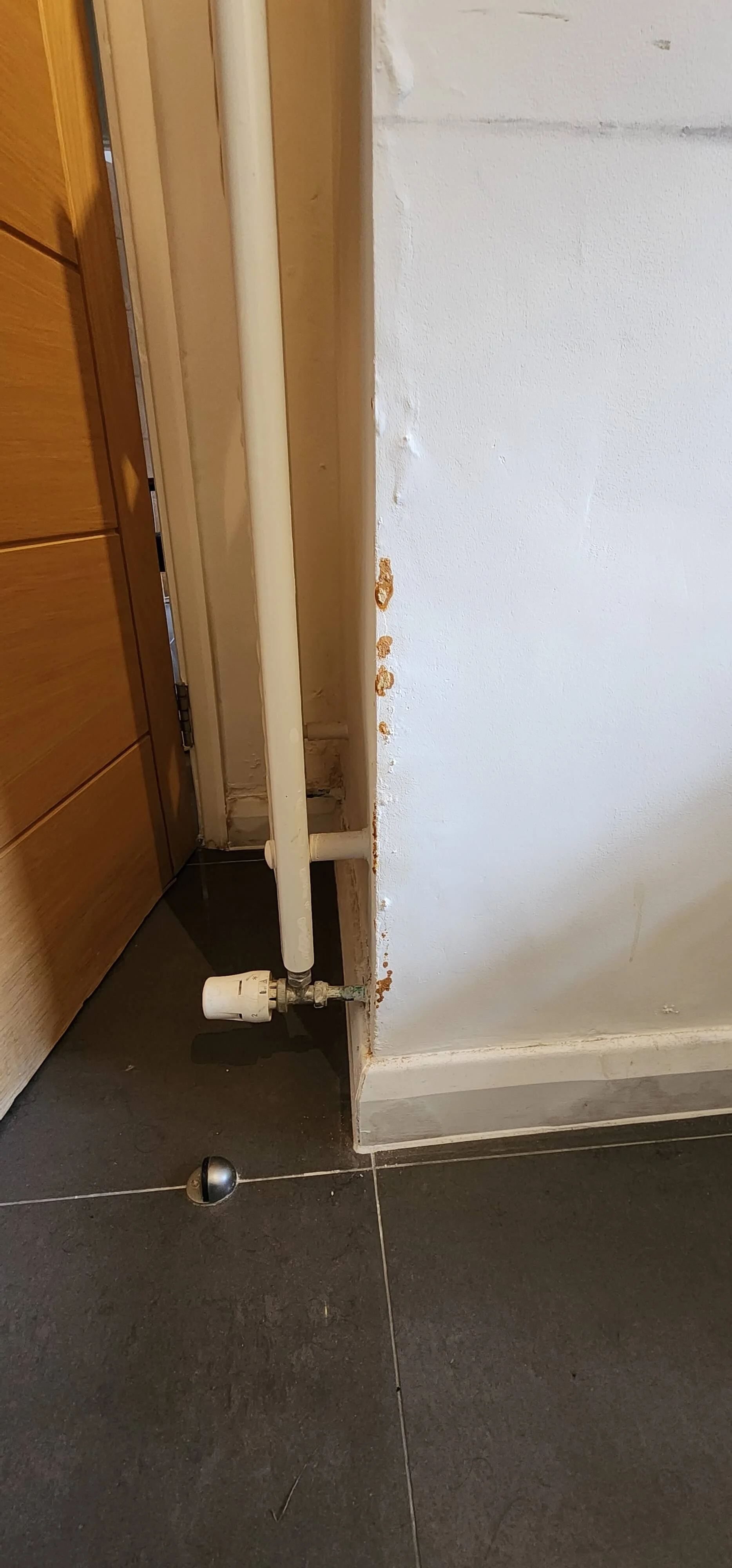 Pipe and lower wall area checked during Portsmouth damp investigation