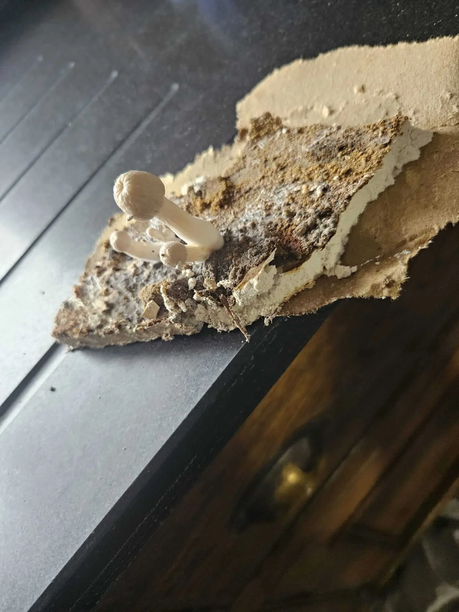 Pipework section evidence from Reading water leak investigation