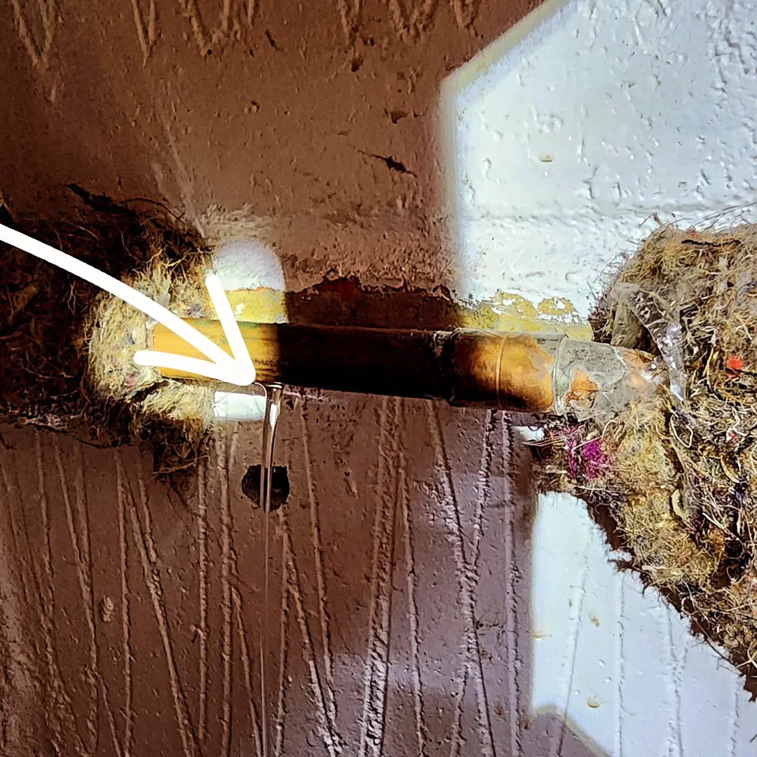 Mains water leak detection evidence in West Byfleet