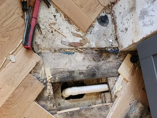 Mains water leak detection in South Woodford project image 10