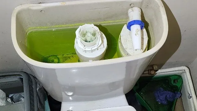 Faulty toilet cistern investigation in Guildford hero image