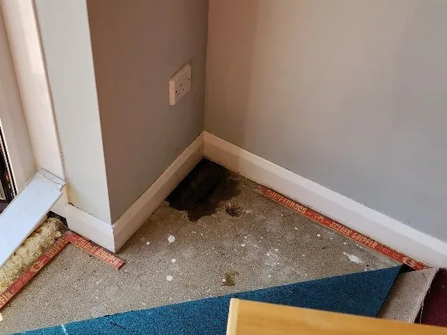 Central heating leak detection in Great Shelford project image 2