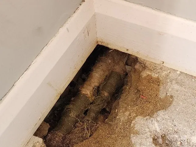Central heating leak detection in Great Shelford project image 4